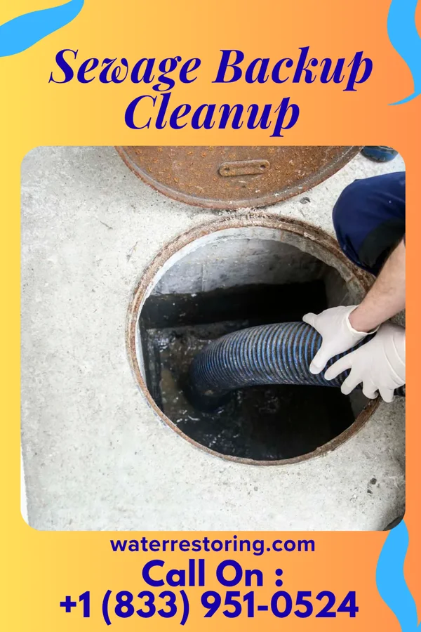 Sewage Backup Cleanup in Fort Lawn, SC